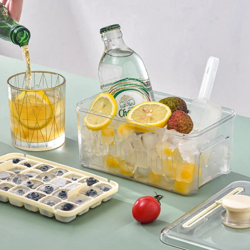 Ice Cube Tray Mold