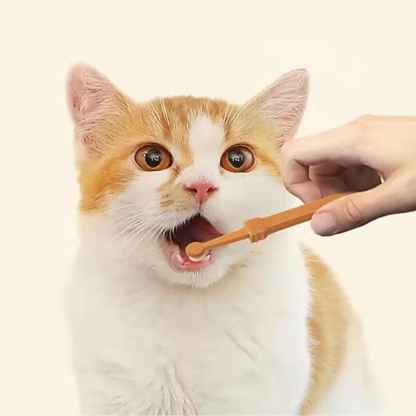 PawSmile Finger Toothbrush