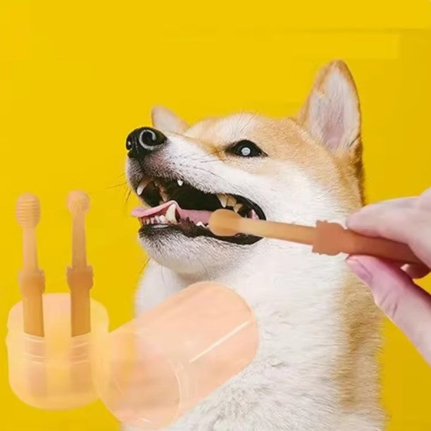 PawSmile Finger Toothbrush
