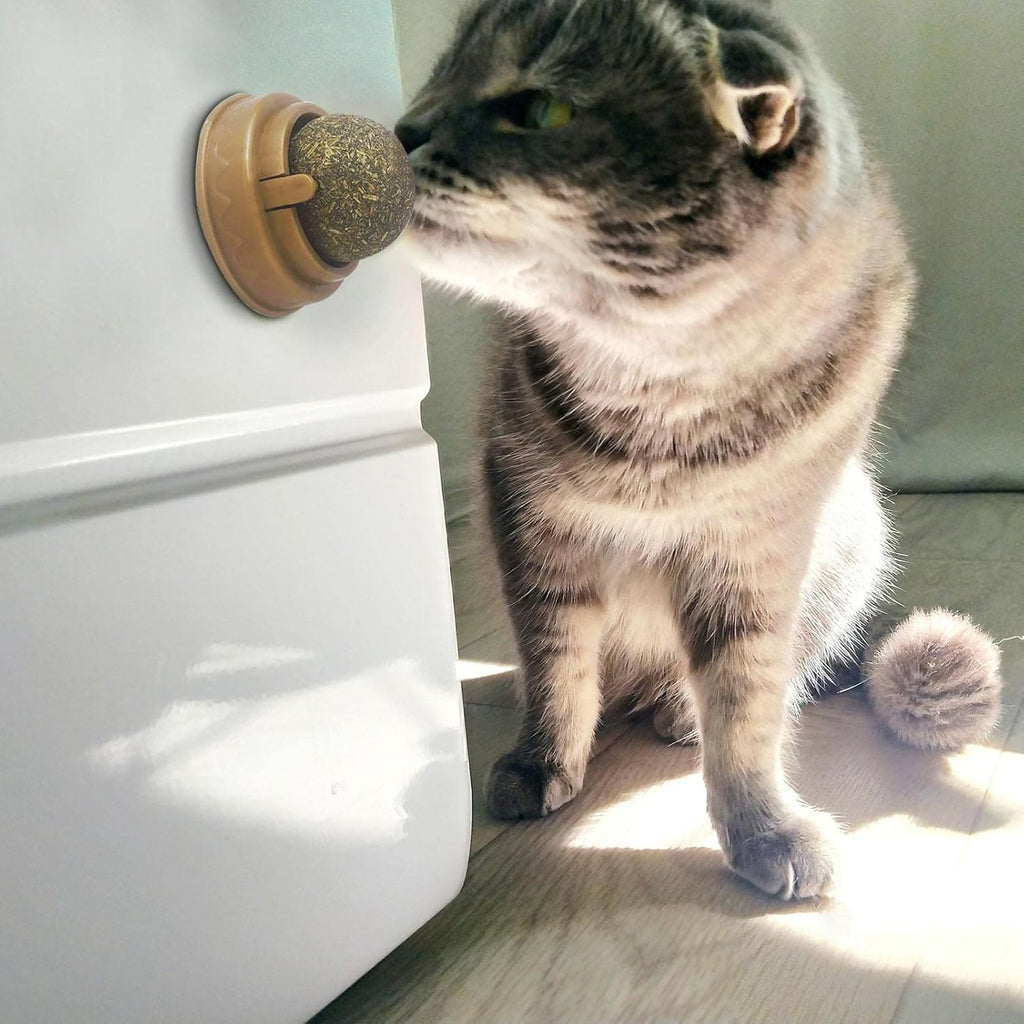 Catnip Cat Wall Stick