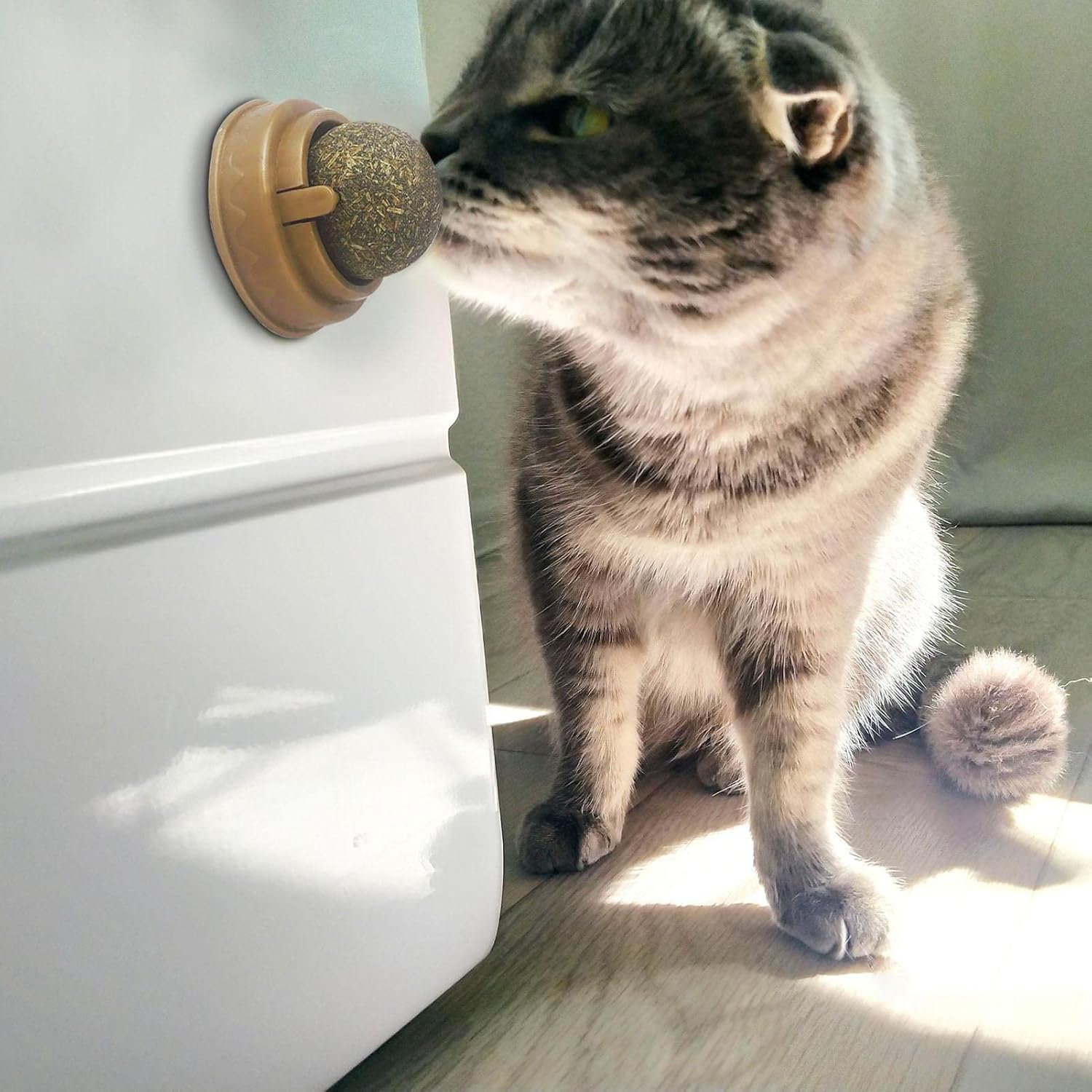 Catnip Cat Wall Stick