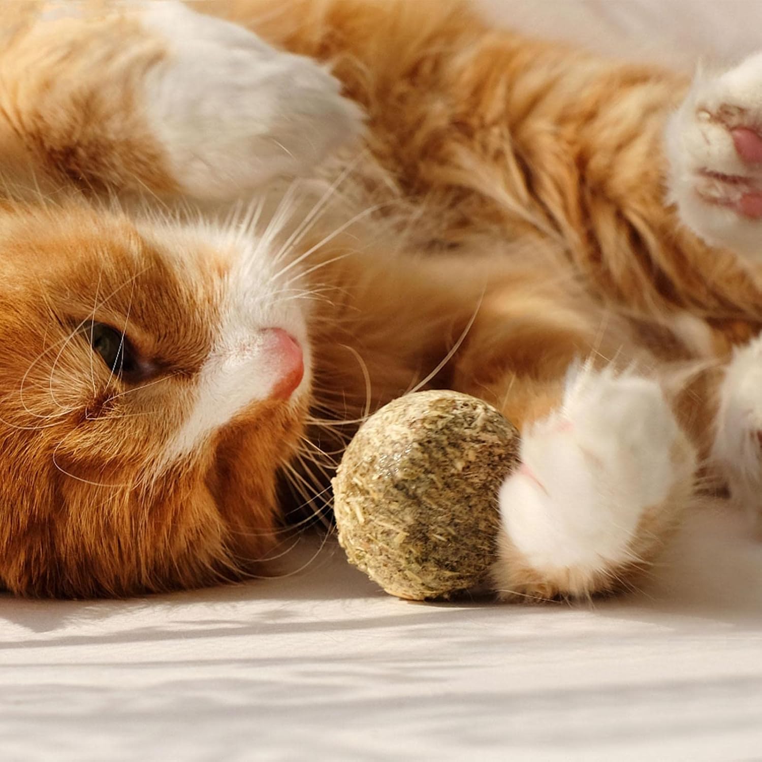 Catnip Cat Wall Stick