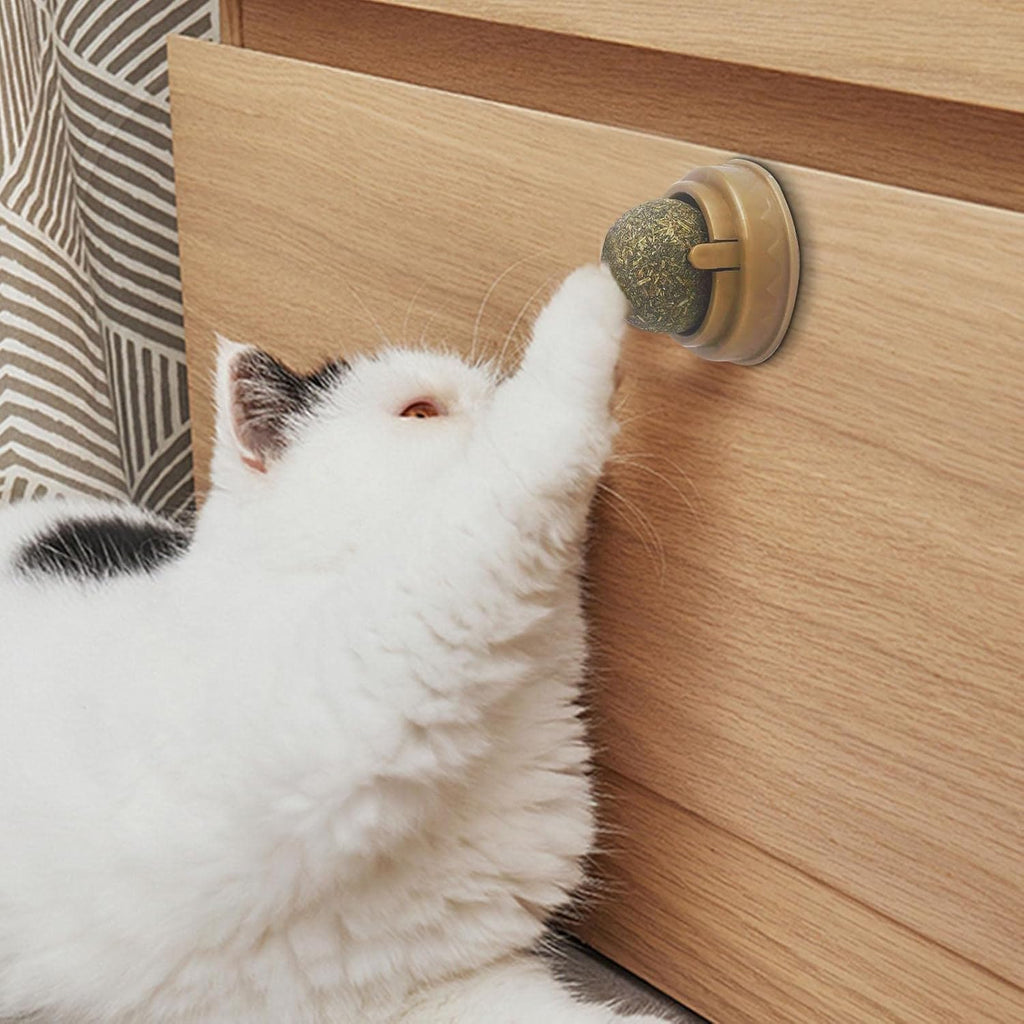 Catnip Cat Wall Stick