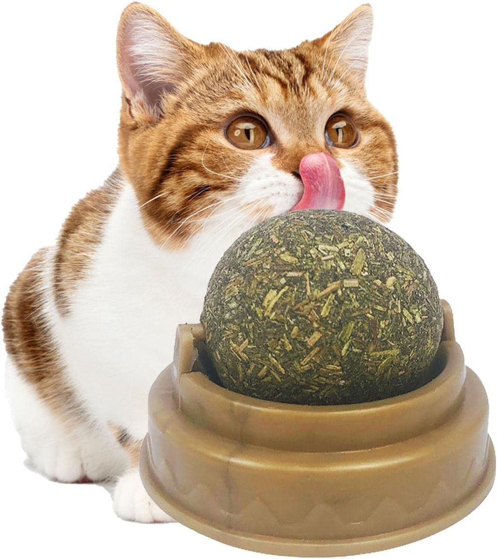 Catnip Cat Wall Stick