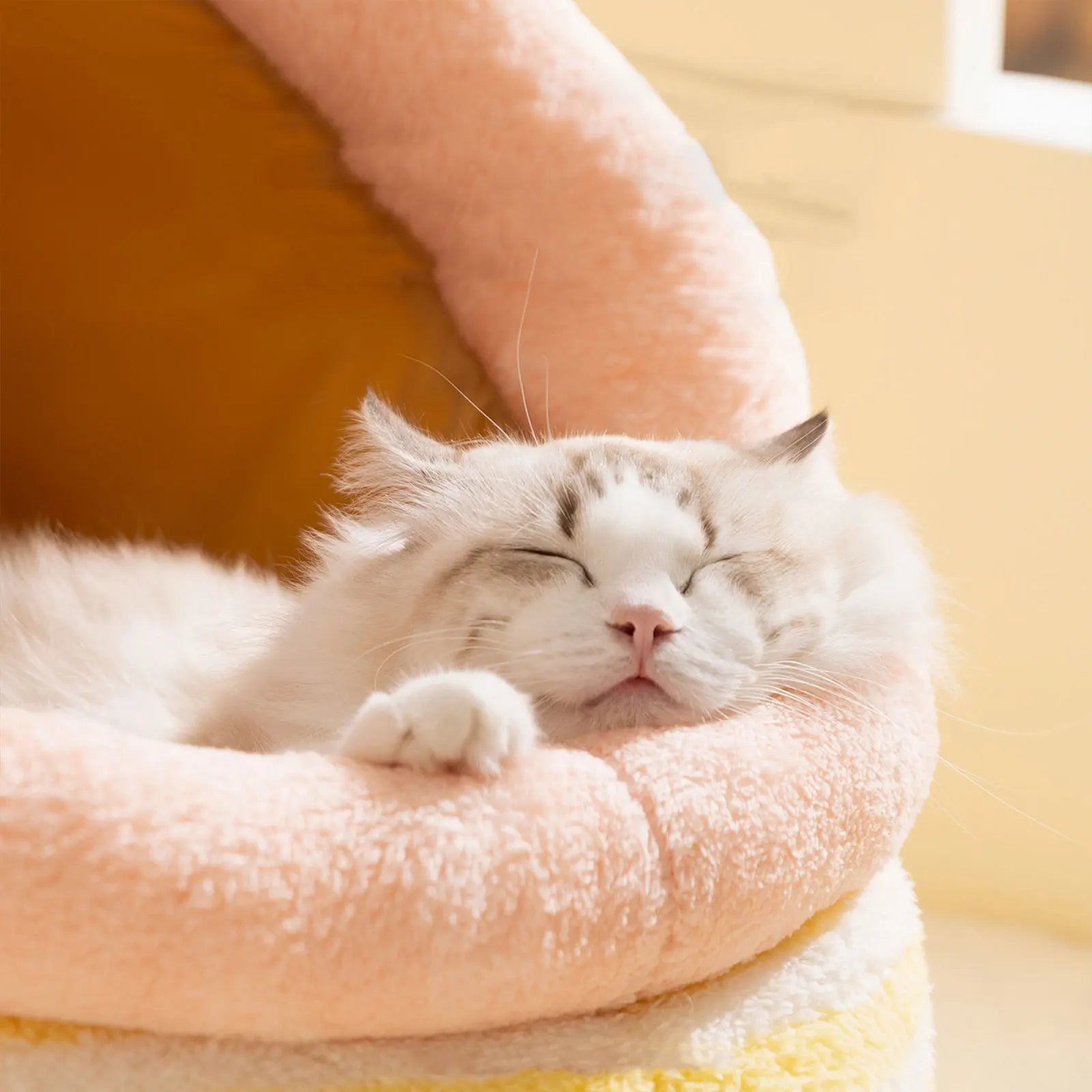 Fluffy Cat Bed