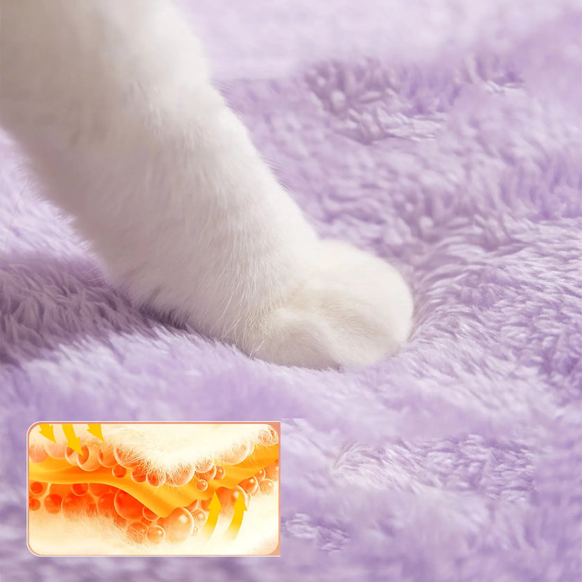 Fluffy Cat Bed