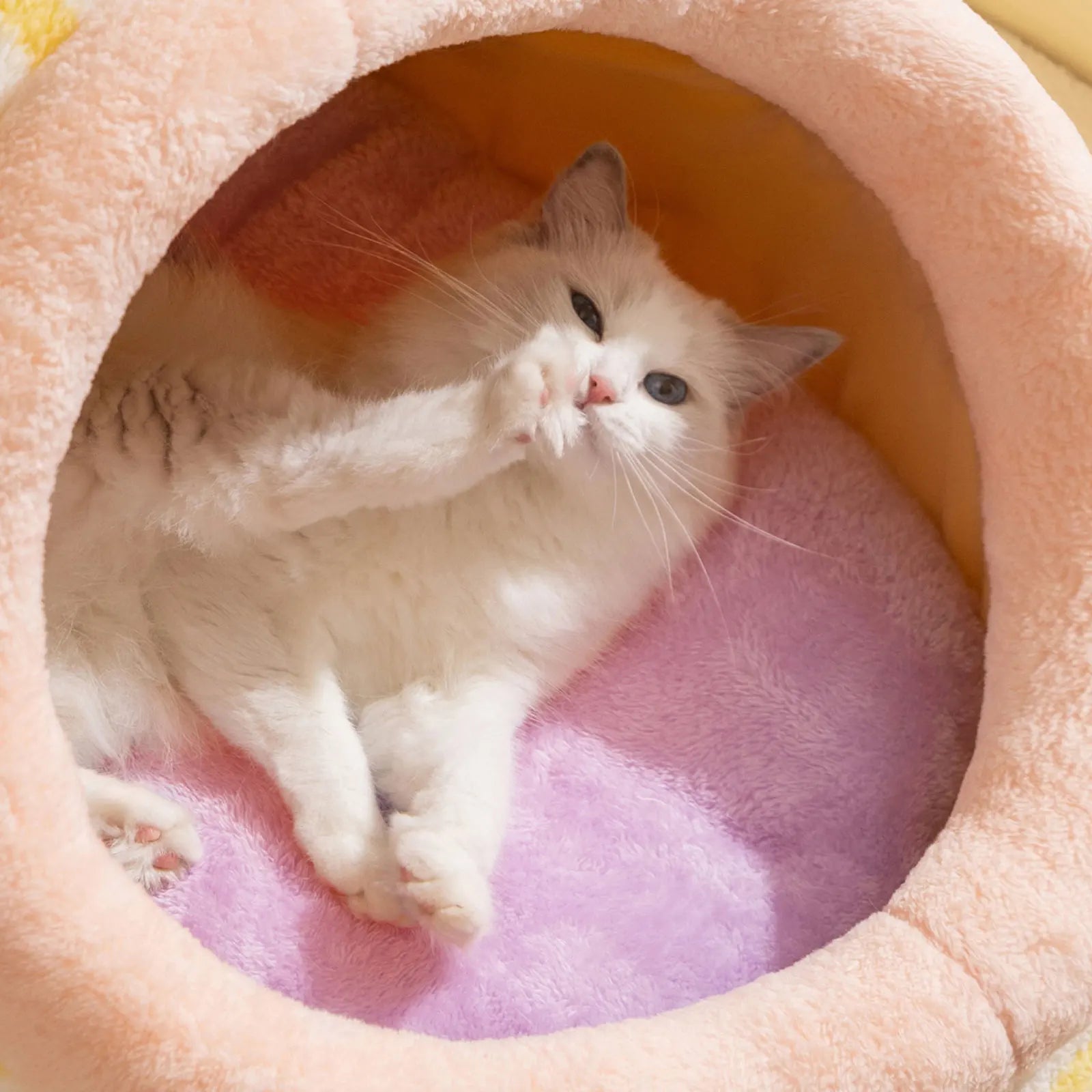 Fluffy Cat Bed