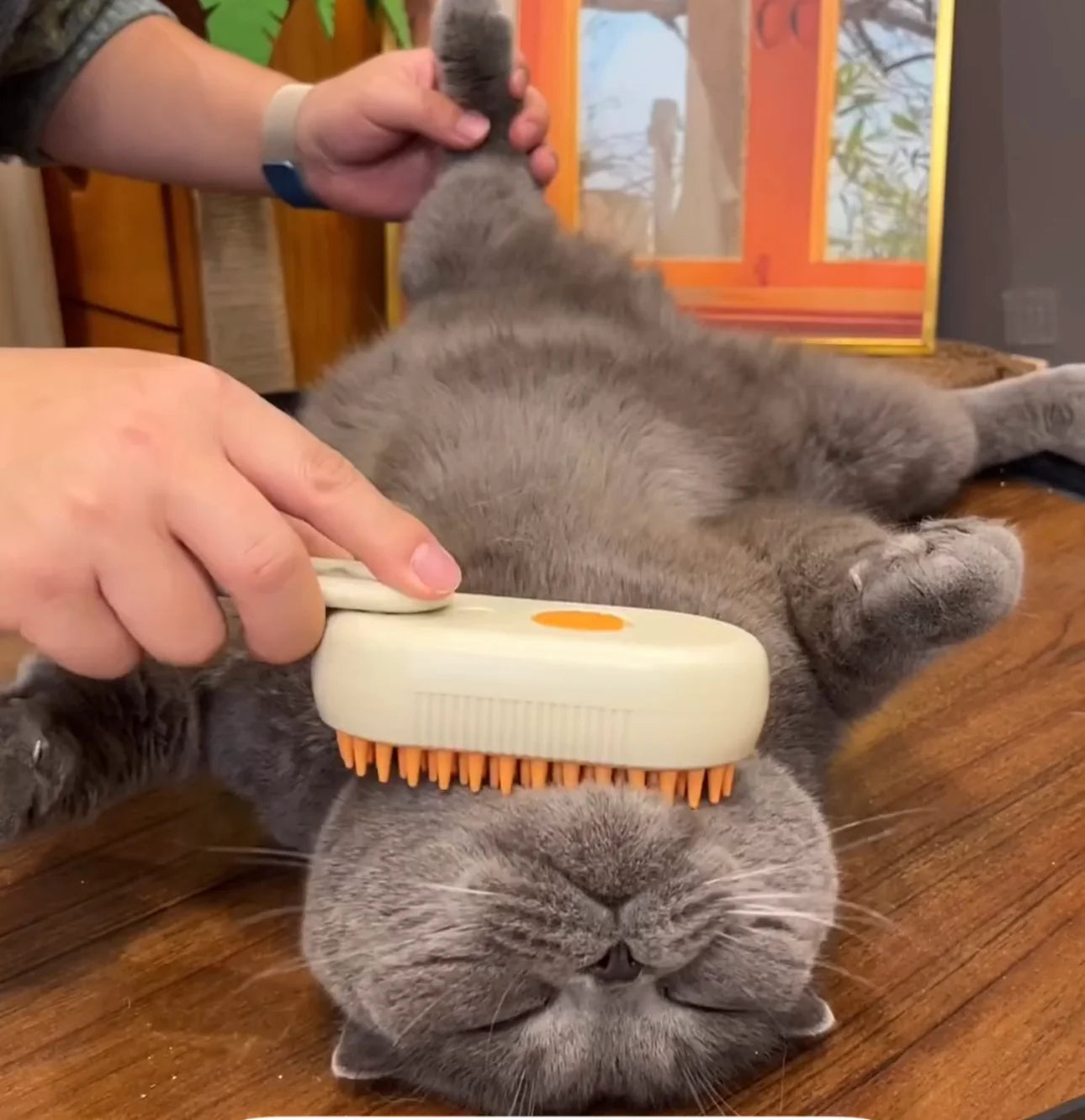 3In1 Cat & Dog Steamy Brush