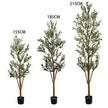 Olive Decor Tree