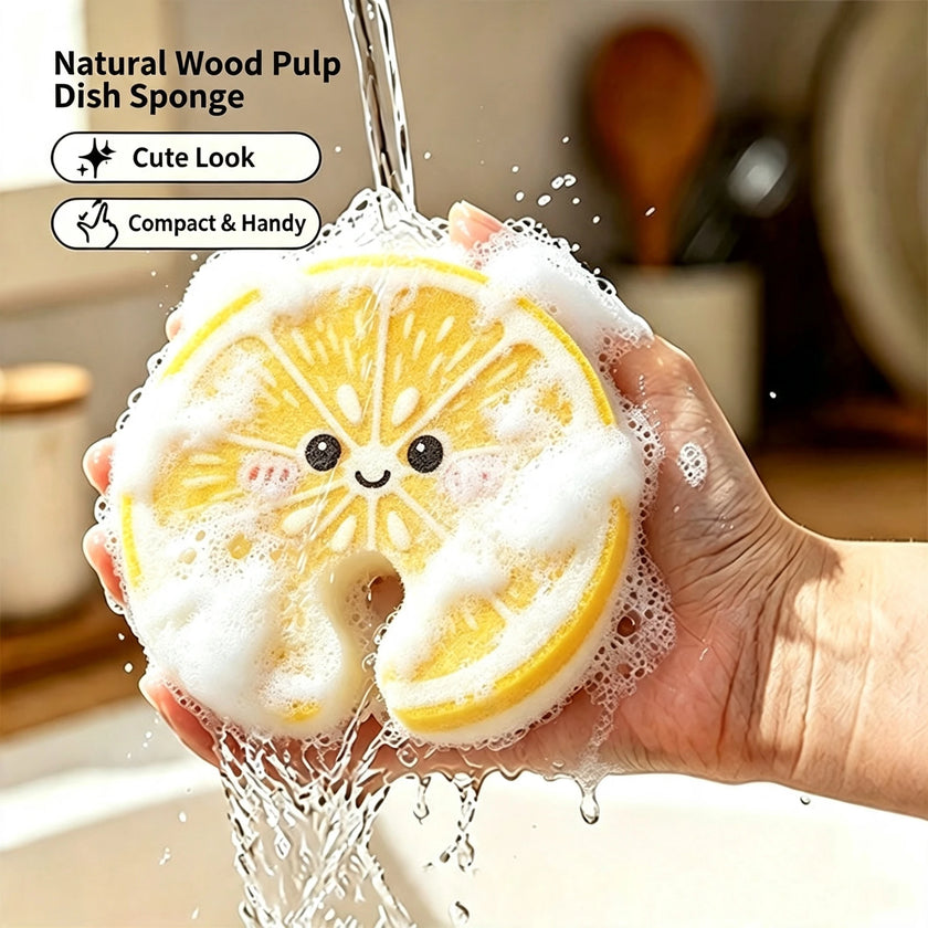 Kitchen Dishwashing Sponges