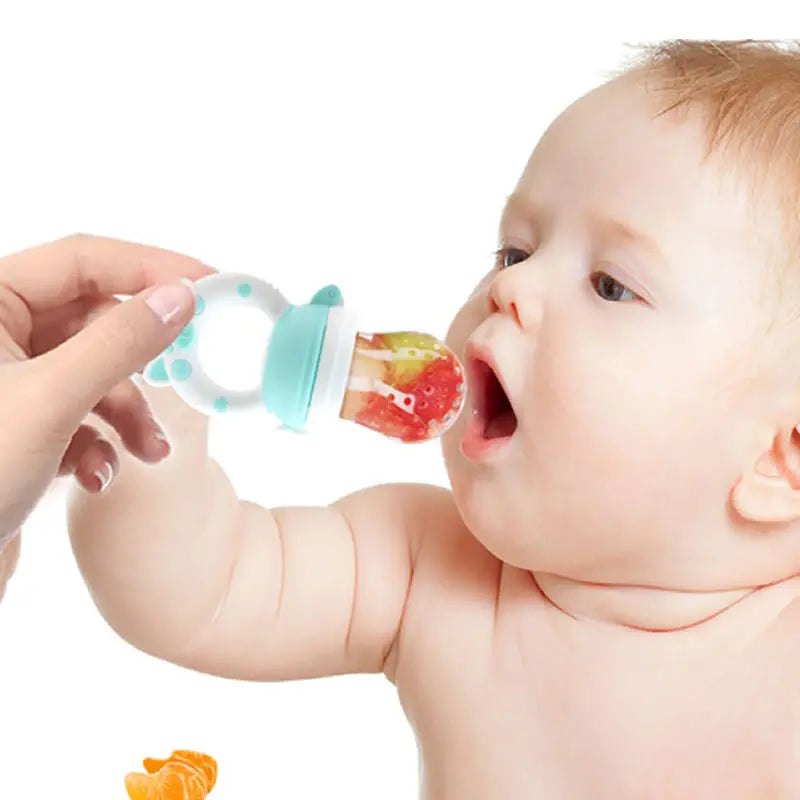 Baby Fruit Feeder Pacifier