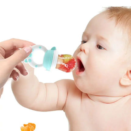 Baby Fruit Feeder Pacifier