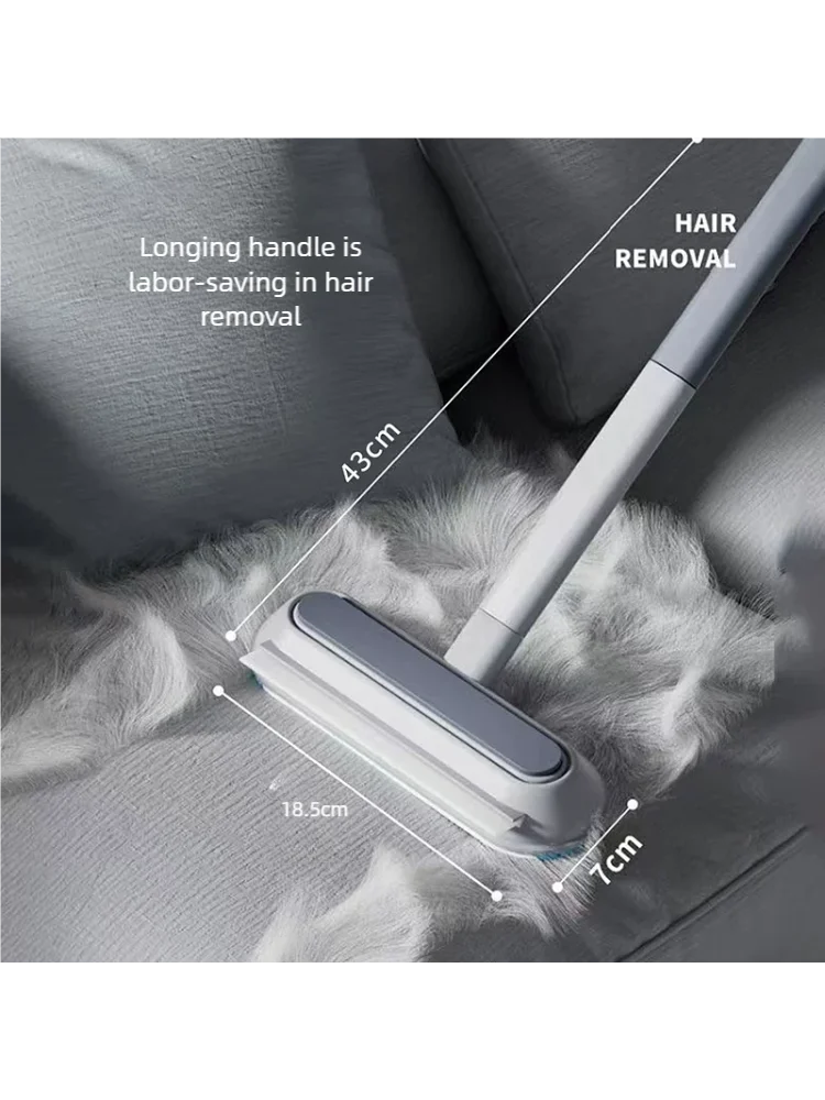 Pet Hair Removal