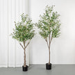 Olive Decor Tree