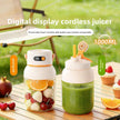 Portable Mini Juice Extractor