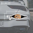 Creative Car Stickers