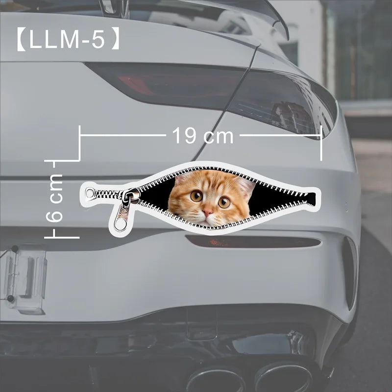 Creative Car Stickers