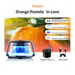 Car Aromatherapy Air Freshener