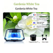 Car Aromatherapy Air Freshener