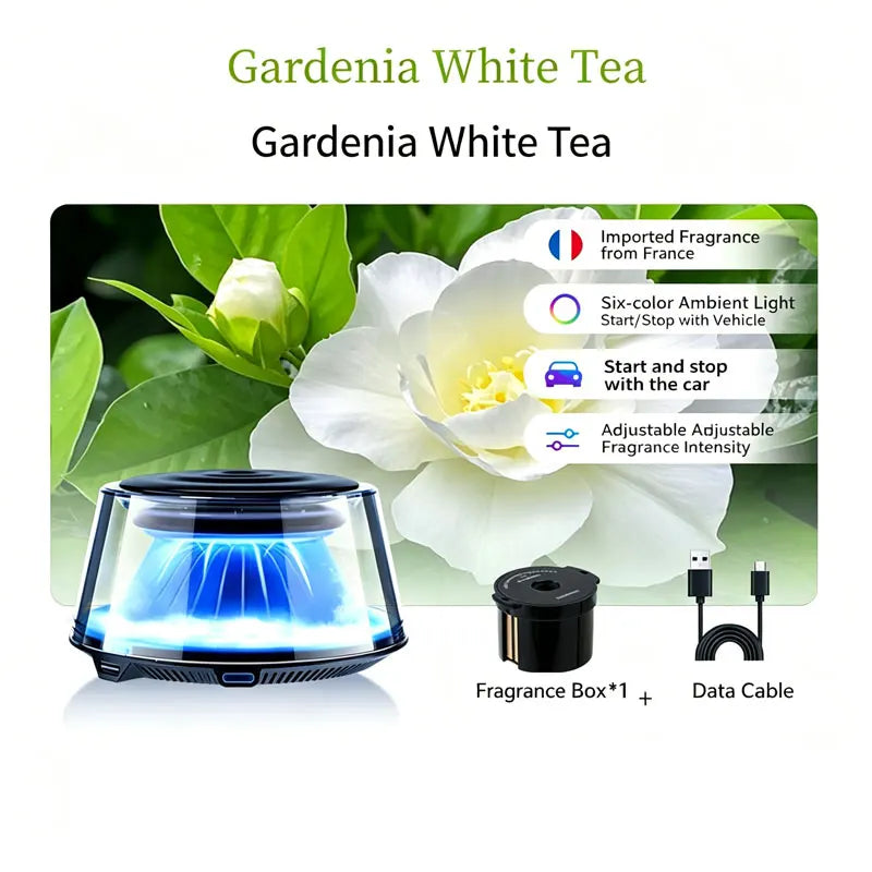 Car Aromatherapy Air Freshener