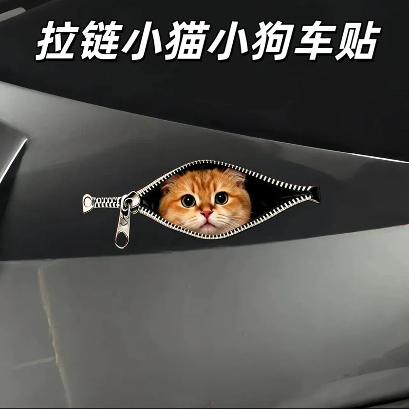 Creative Car Stickers