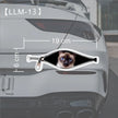 Creative Car Stickers