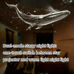 Sky Light Projector