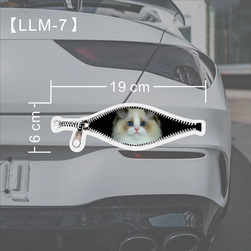 Creative Car Stickers