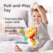 Plush Baby Crab Hanging Stroller & Crib Toy