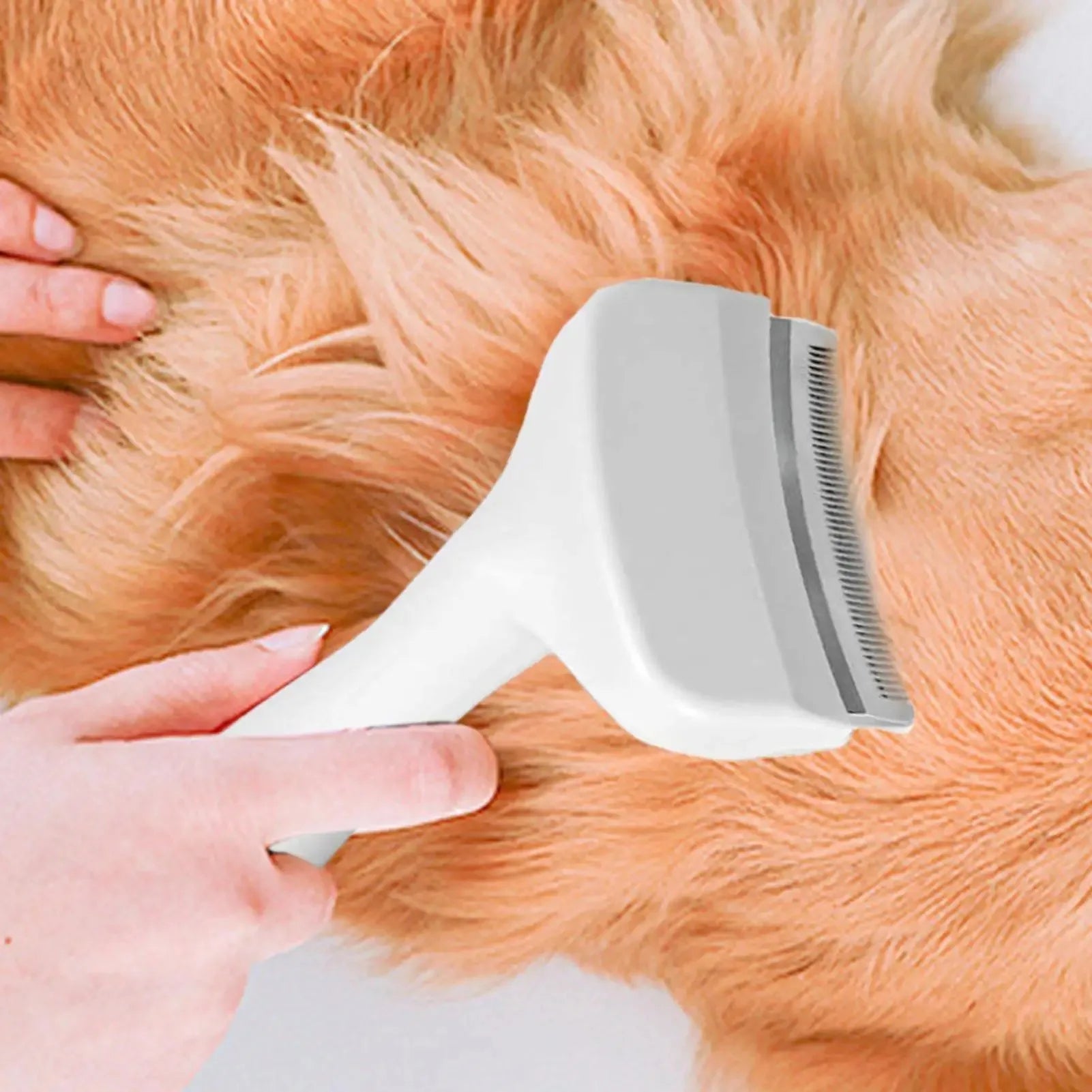 Pet Slicker Brush
