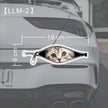 Creative Car Stickers