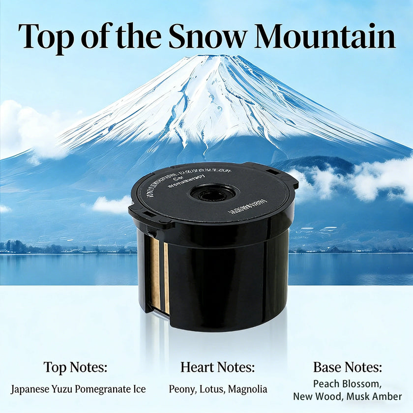 Car Air Freshener Premium Diffuser