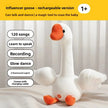 Dancing Talking Ducks Toy for Baby