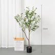 Olive Decor Tree