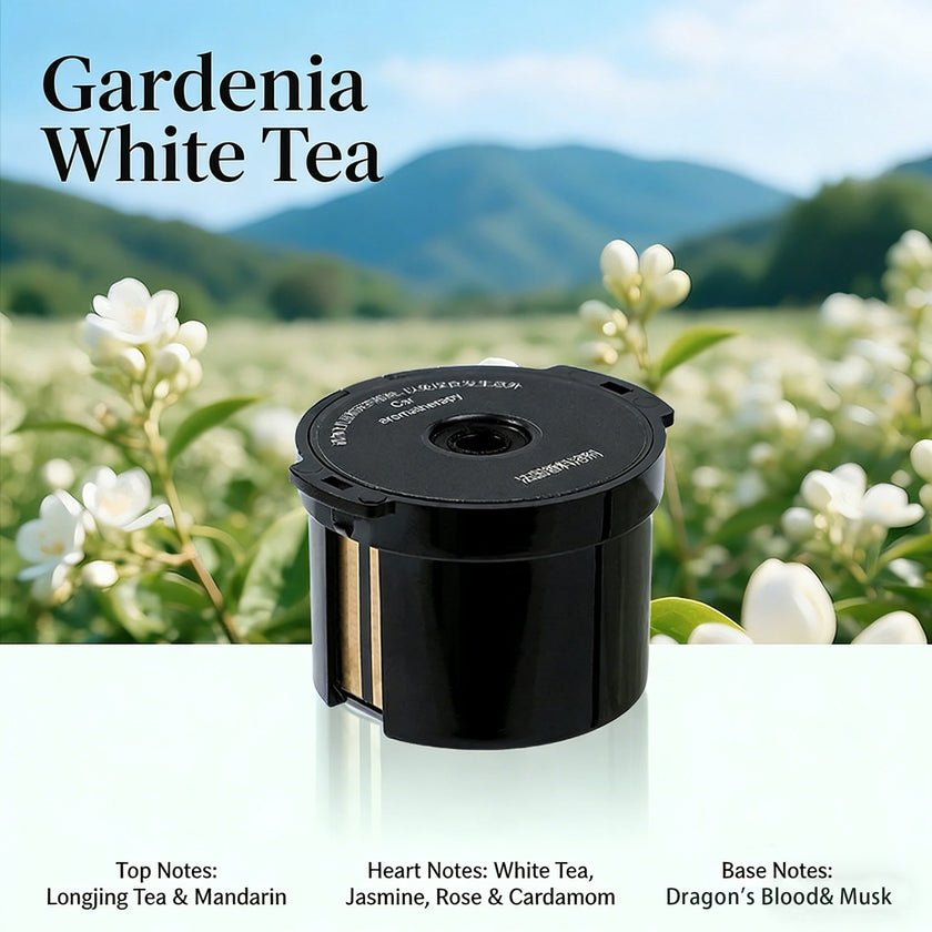 Car Air Freshener Premium Diffuser