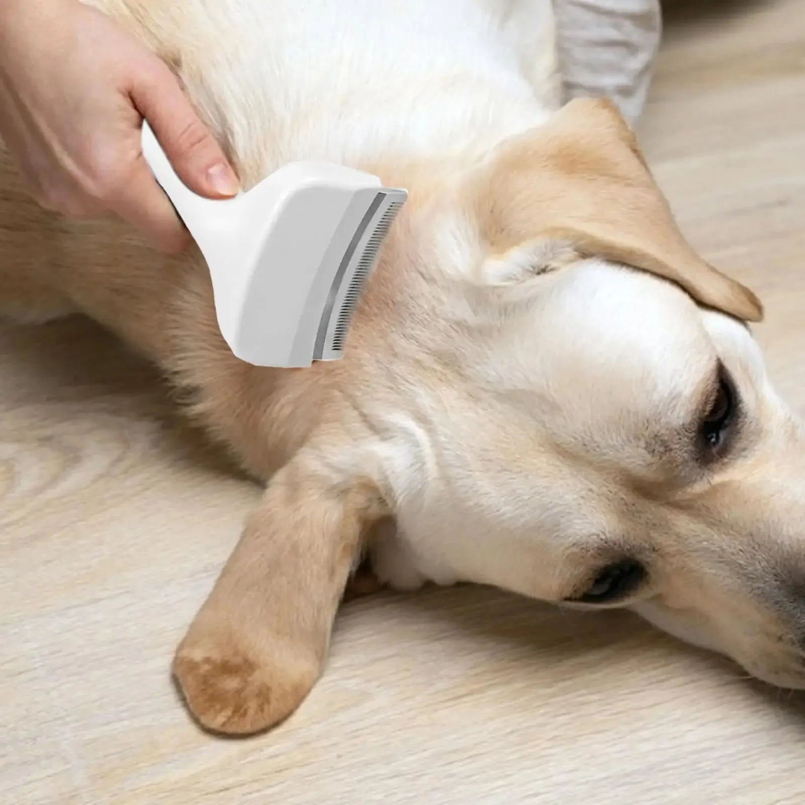 Pet Slicker Brush