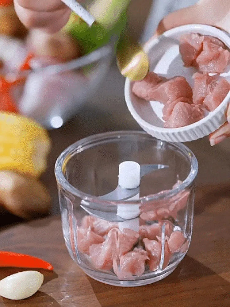 Mini Electric Food Blender