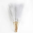 Artificial Pampas Grass Set