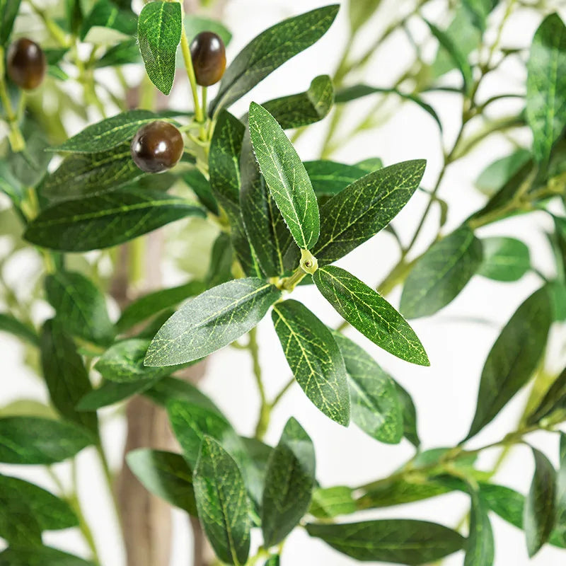 Olive Decor Tree