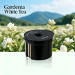 Car Aromatherapy Air Freshener