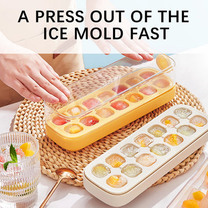 Ice Cube Tray Mold