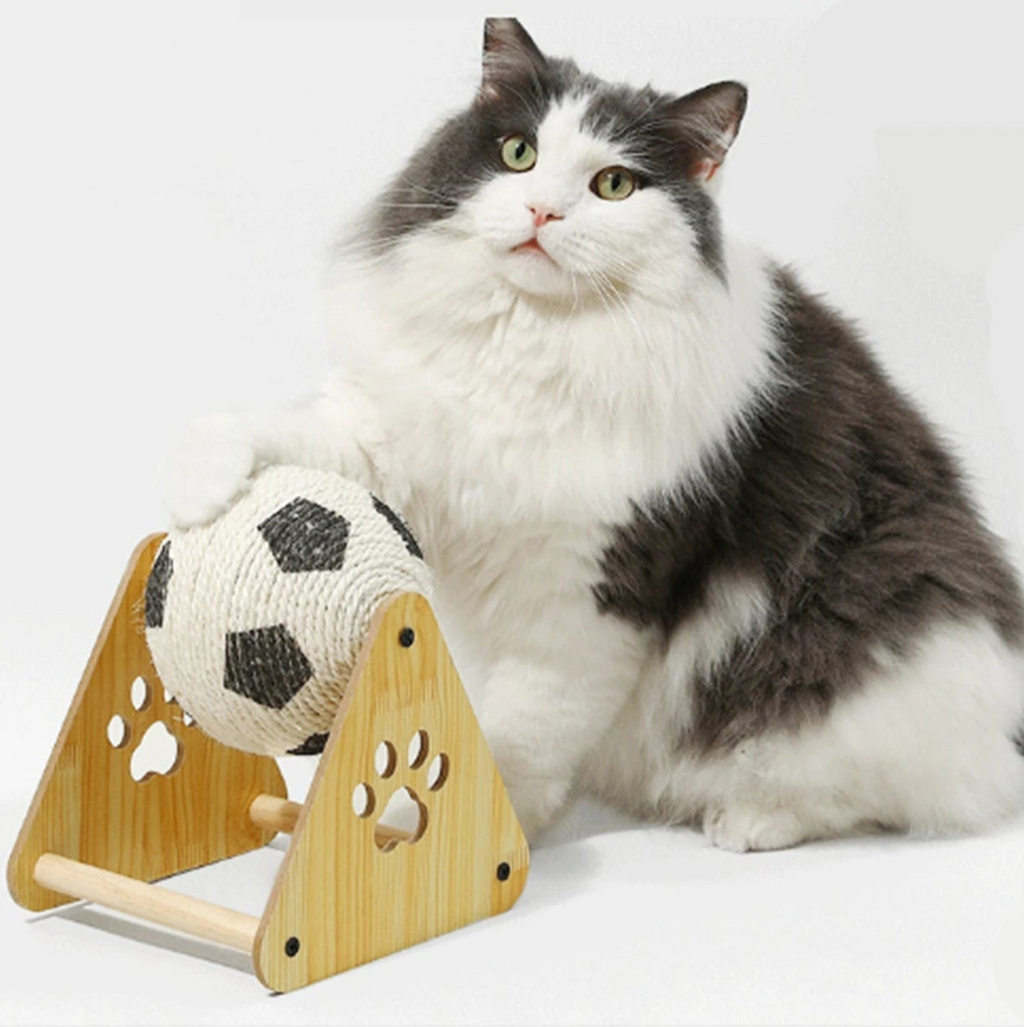 Cat Scratching Ball