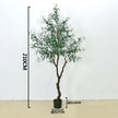 Olive Decor Tree