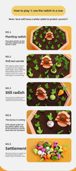 Pull & Learn Carrot Fun
