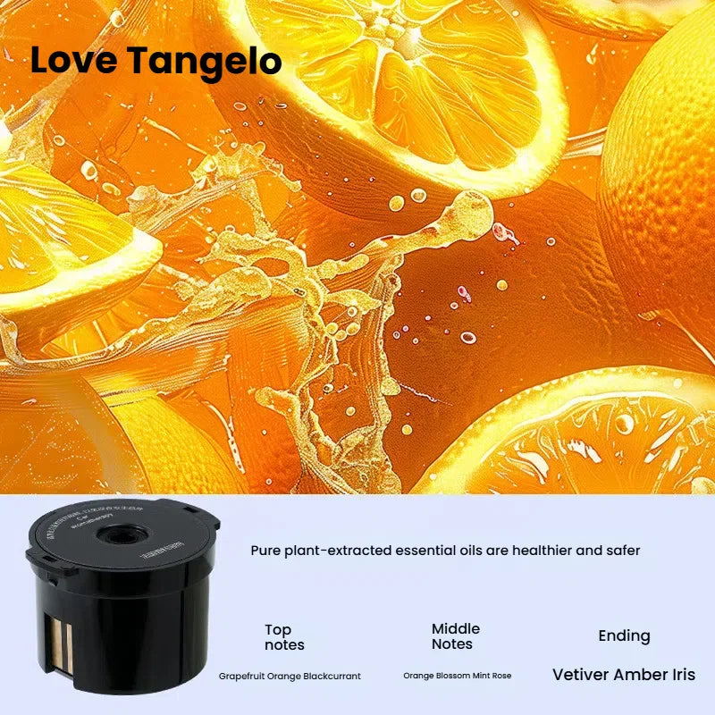 Car Air Freshener Premium Diffuser