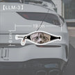 Creative Car Stickers