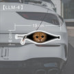 Creative Car Stickers