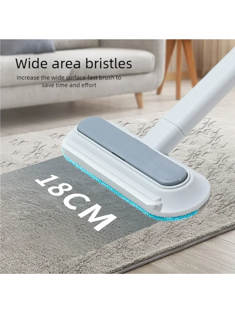 Pet Hair Removal