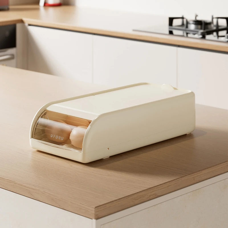 Flip Cover Egg Organizer