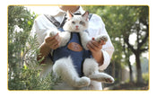 Pet Handle Backpack